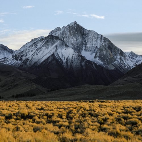 Best Ad Networks to Use Instead of AdSense (2025 Guide)